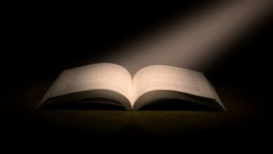 exploring erotic literary genres